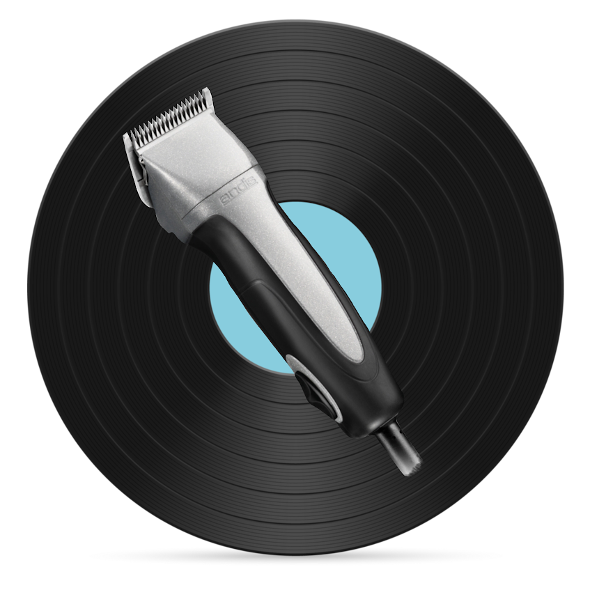 Full Groom Doodle/ Poodle