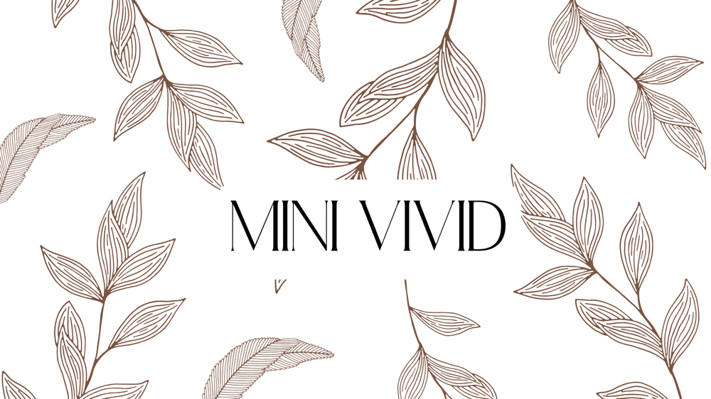 Mini Vivid/Creative Refresh