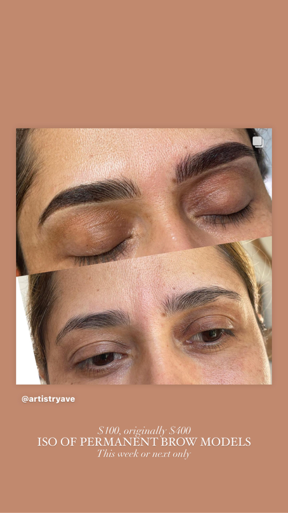 (PMU) BROW TOUCH UP