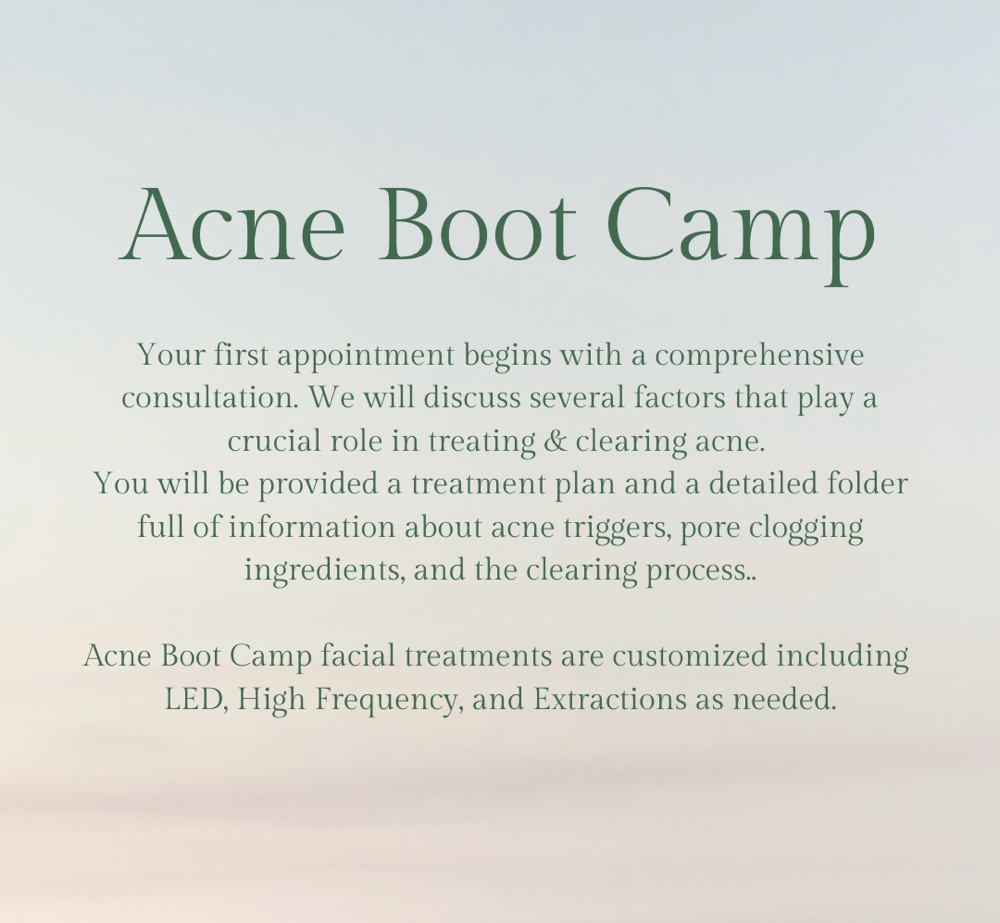 Face Reality Acne Boot Camp Program