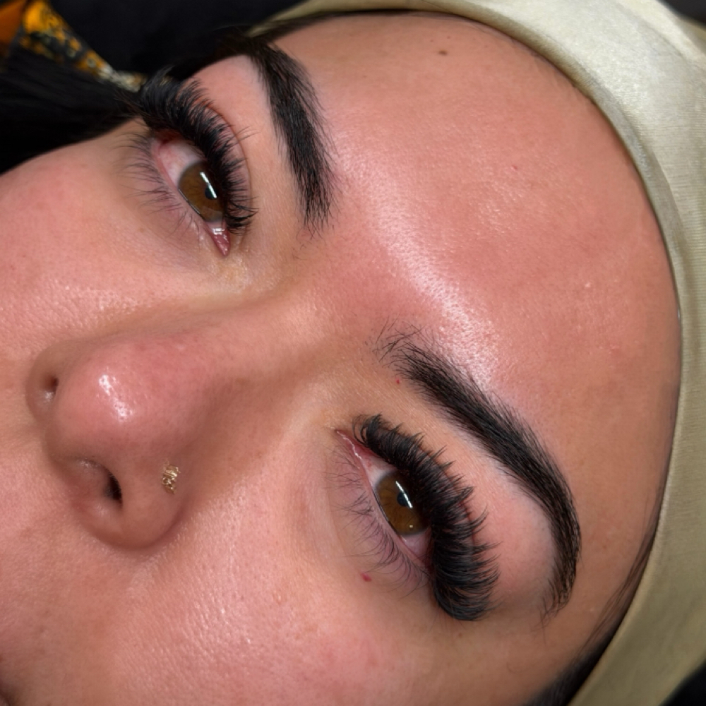 Volume Fill at Alayah Cosmetix Lashes | Brows in La Mesa, CA