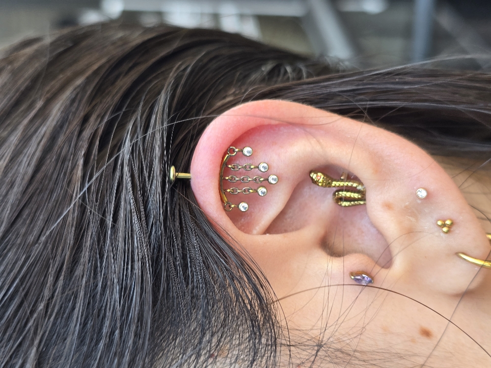 Vertical Helix (Jewelry Included)
