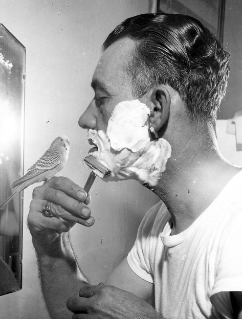 Classic Shave