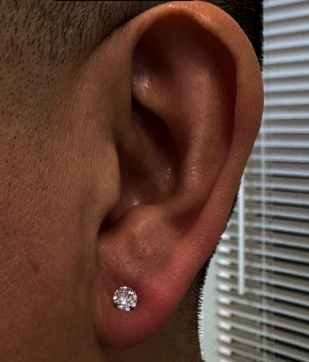 Earlobes (Pair)