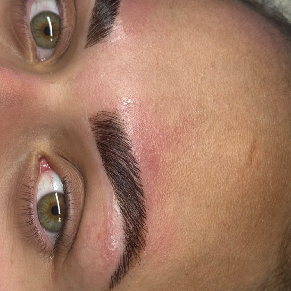Brow Lamination/tint/wax at Simply Beautiful Esthetics in Dandridge, TN