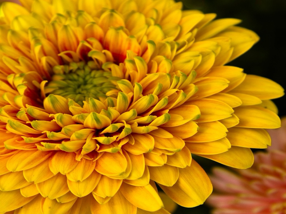 Single Process Color