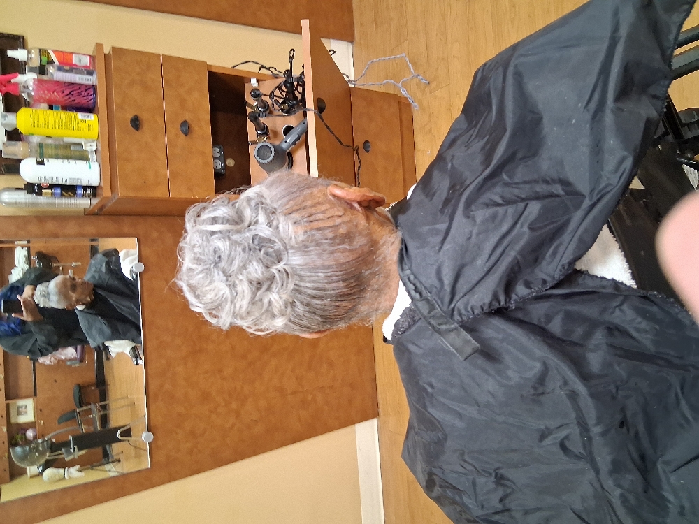 Updo Hairstyle Service