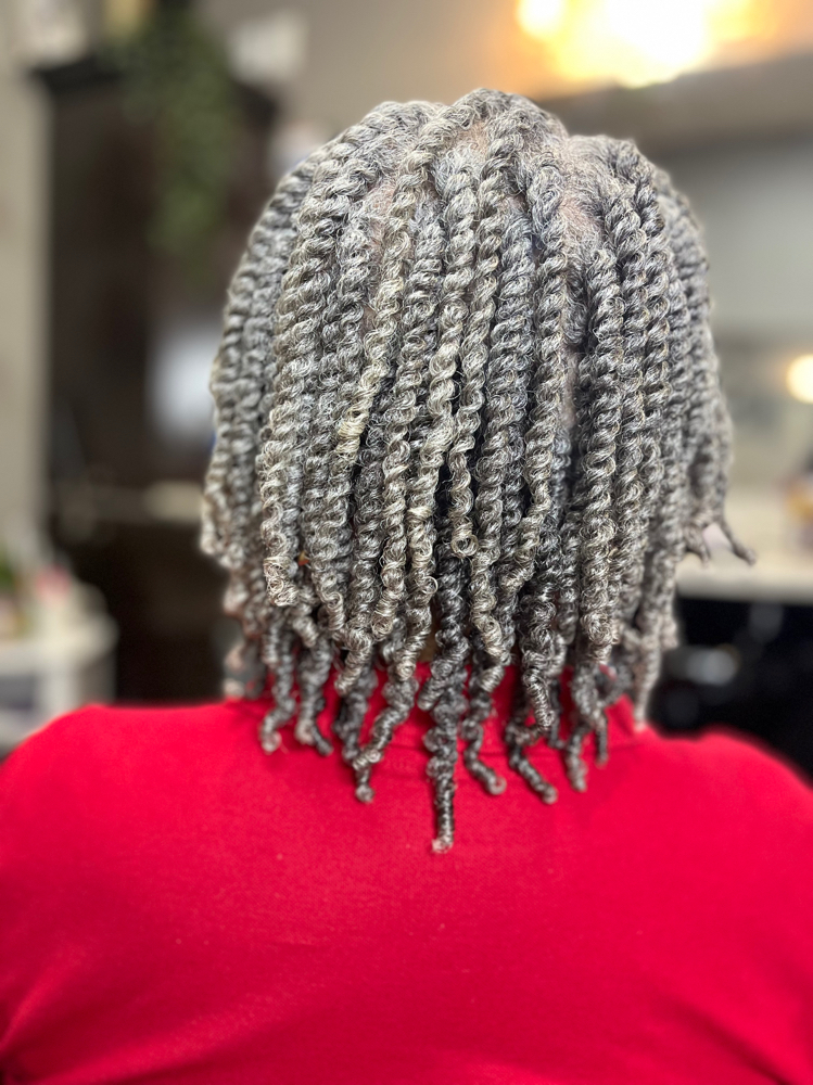 Two Strand Twist