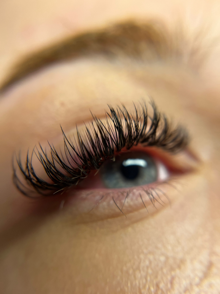 Standard Lash Extension Fill