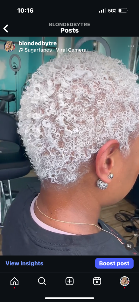 Platinum Pixie/Platinum Root touch