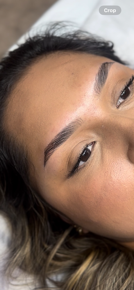 Eyebrow Wax & Lamination