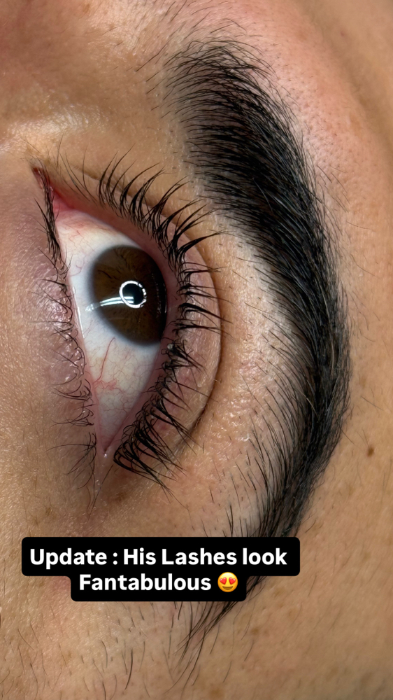 Korean Lash Lift - Model