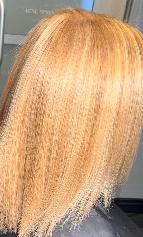 Silk Press + Full Highlights