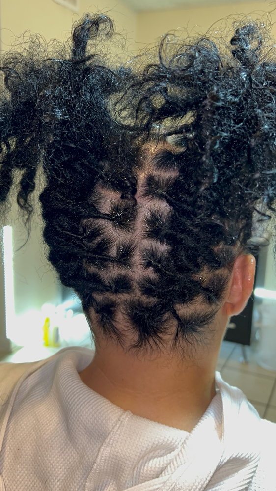 Thick Starter Locs
