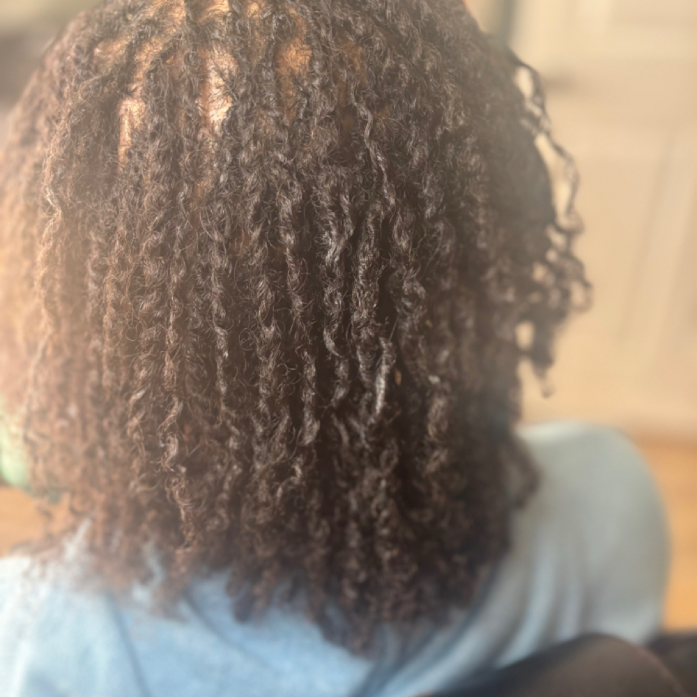 6-8 Micro Loc Maintenance at Natural Beauty by Donecia in Knoxville, TN