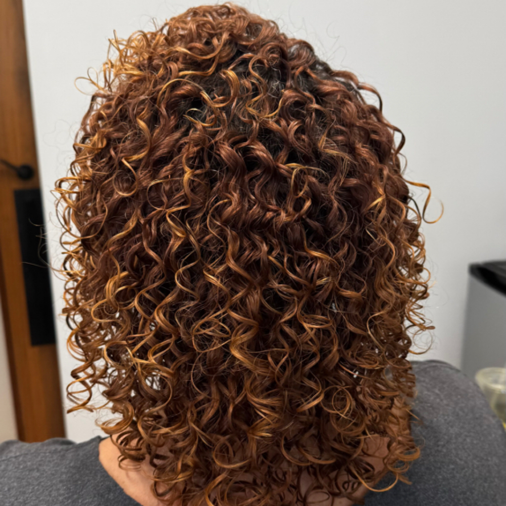 NEW CLIENT RESET CURLS & STYLE