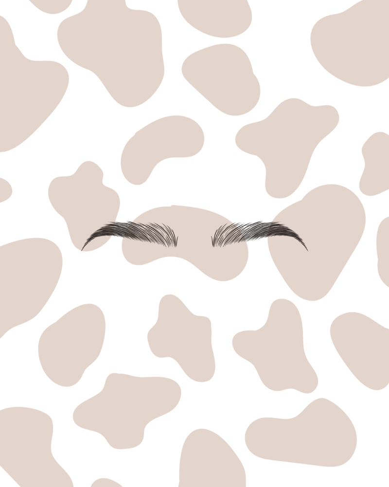 Brow Lamination and Tint