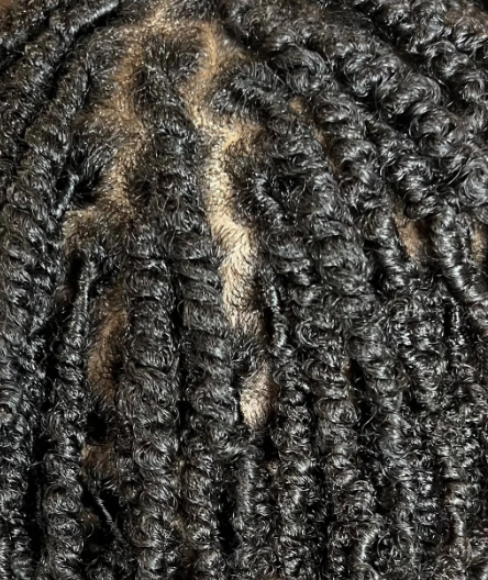 Starter Locs (2 Strand Twist)