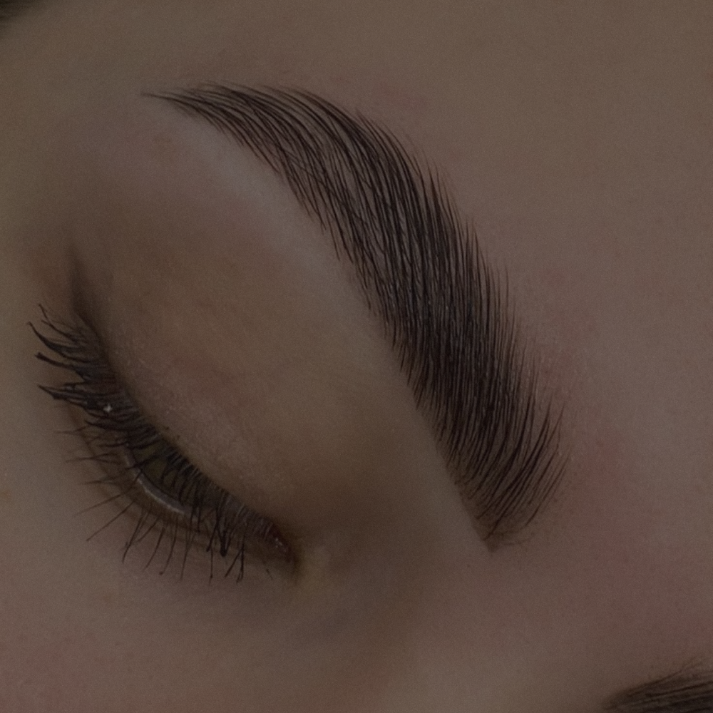 Brow Lamination + Wax  ♡