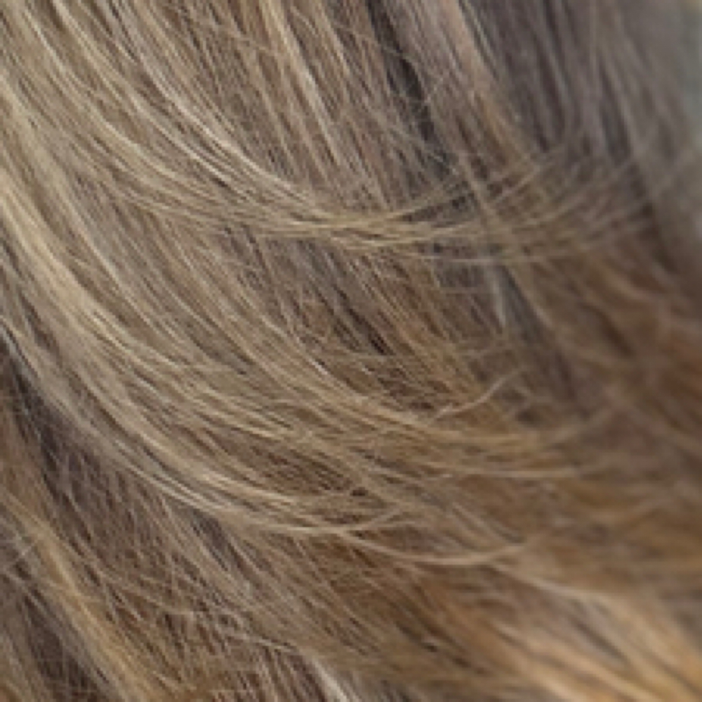 Classic Blowout at Grace Sarasota Hair in Sarasota, FL