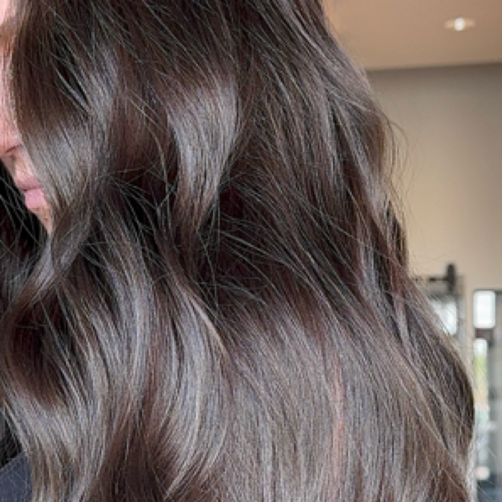 All Over Color at Leigha Marie Hair in Chandler, AZ