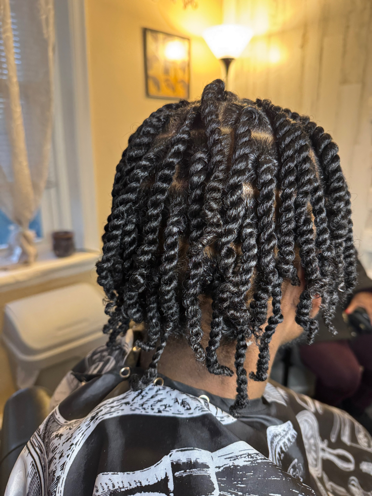 Large Twist (No Hair Added)