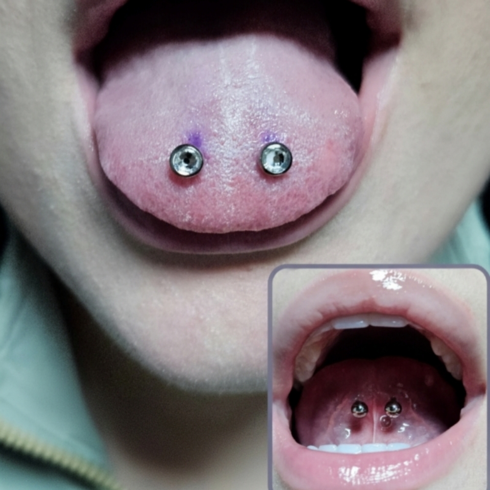 Venom Bites at Chrissy Von in Pelham, NH