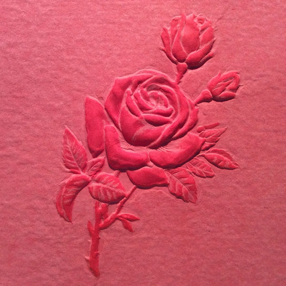 Rose Romance Anti-Aging Facial at Stellar Skin Care Services in Pensacola, FL