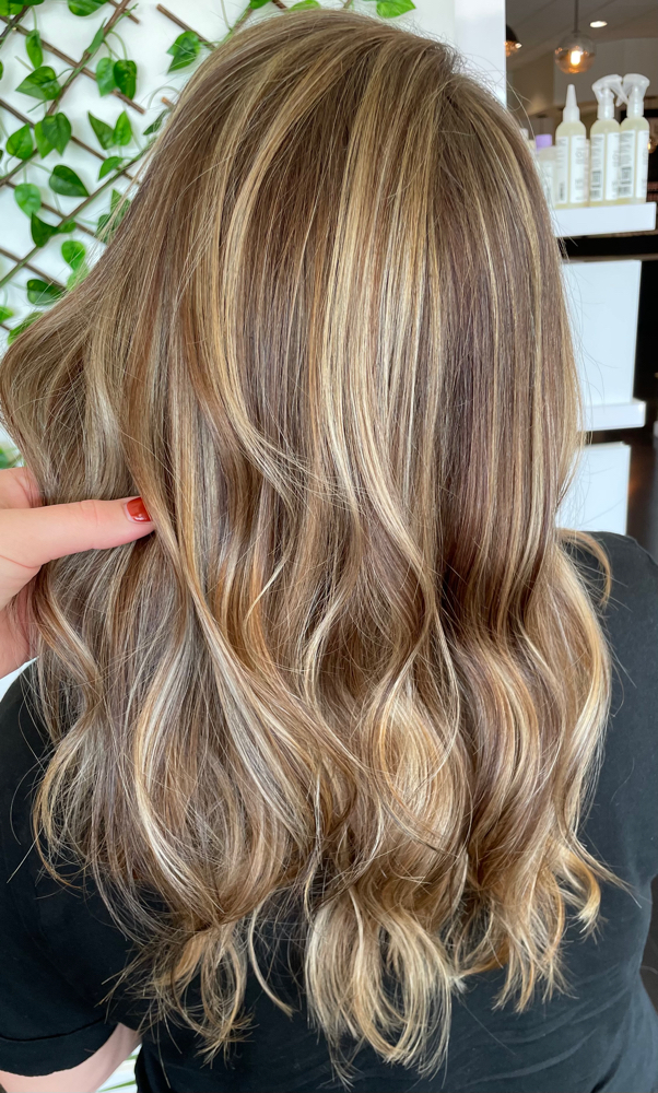 Color, Partial Highlight, Blow Dry