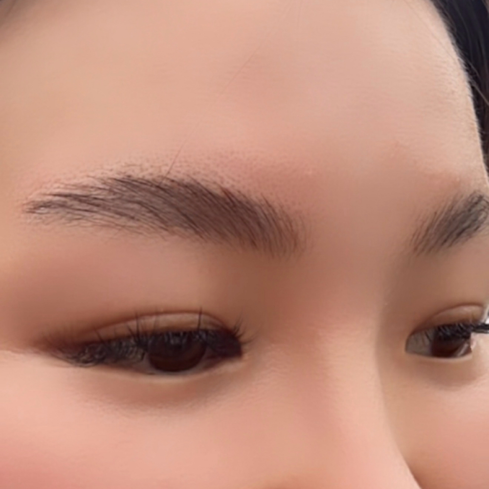 Signature Brow Mapping+Hair Strokes at Beauty  Glow in Falls Church, VA
