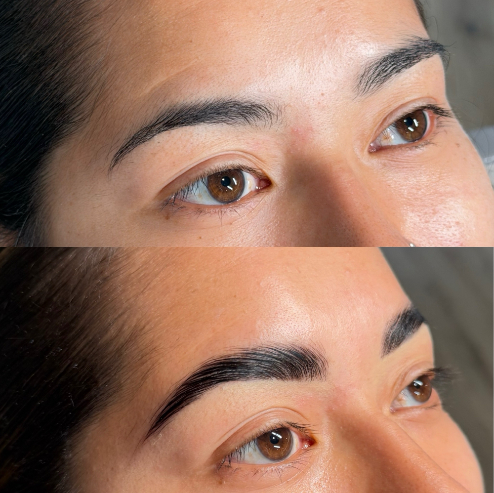 Brow Lamination + Hybrid Stain at Leticia  Muller in San Mateo, CA