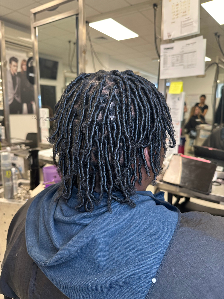Starter Locs