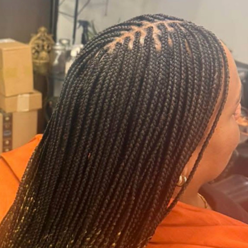 Small Box Braids at Sene Beauty Bar in Horn Lake, MS
