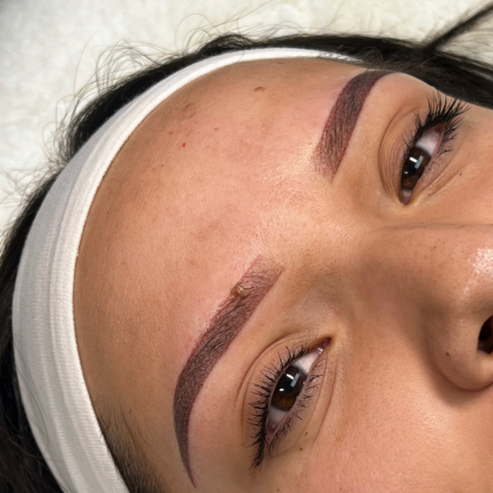 Ombre Brows Touch Up 9-12 Months at Fancy Face in Fort Stockton, TX