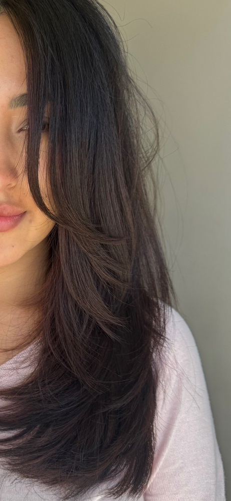 Cut Blowdry Style
