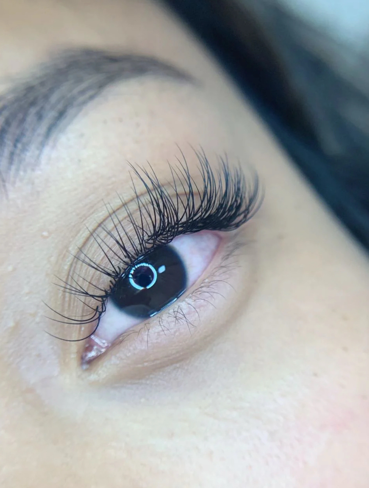 All Lashes