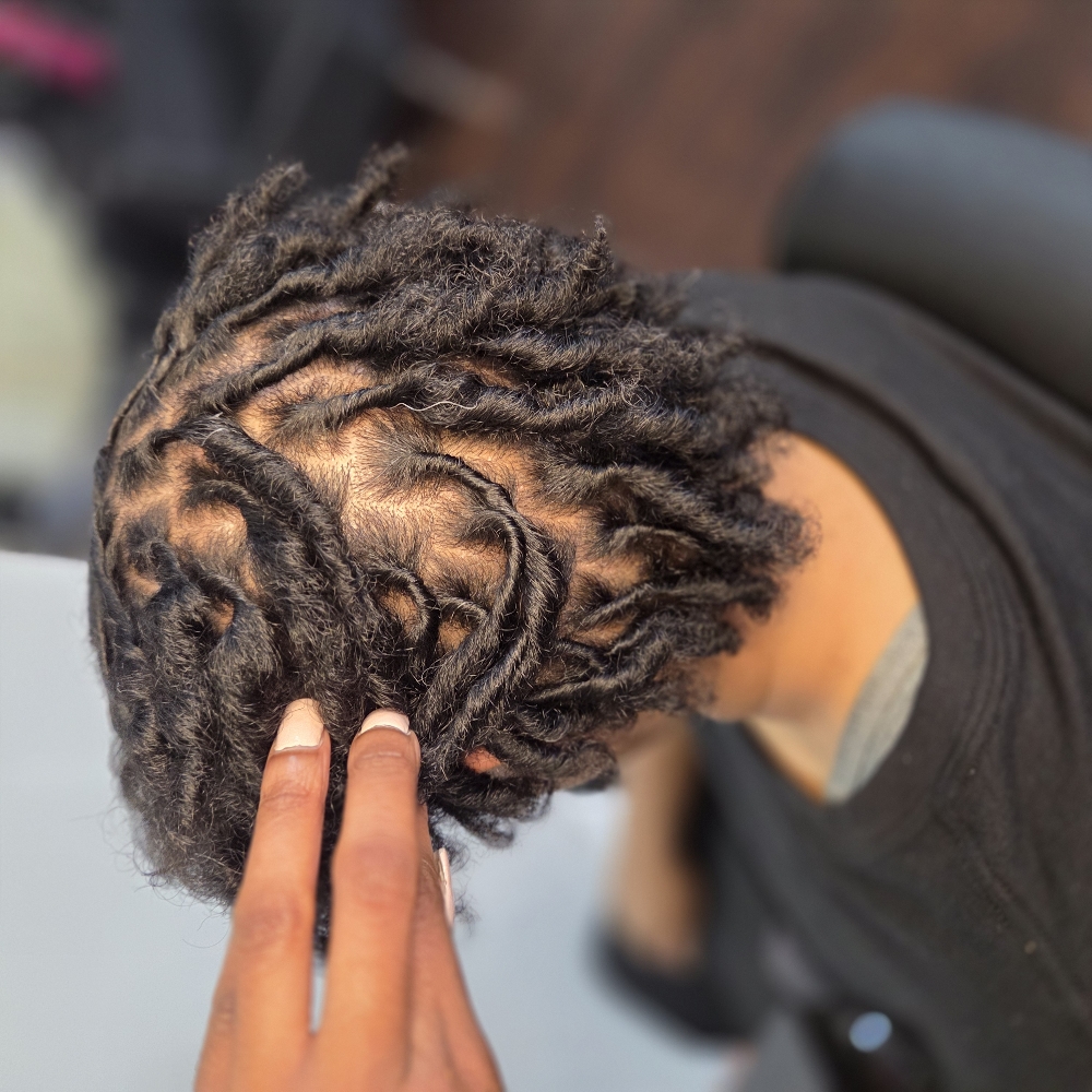 Starter Locs