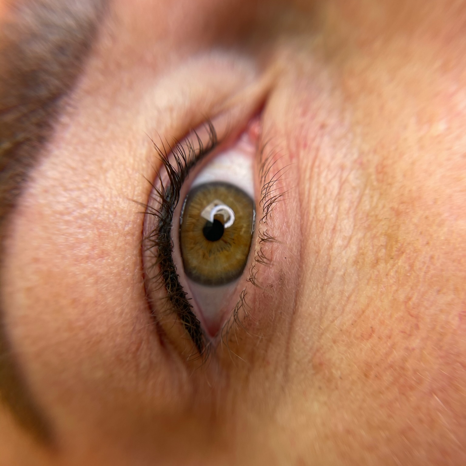 OutLine LashLine at Beauty Ink by Carmen LLC in Burbank, CA