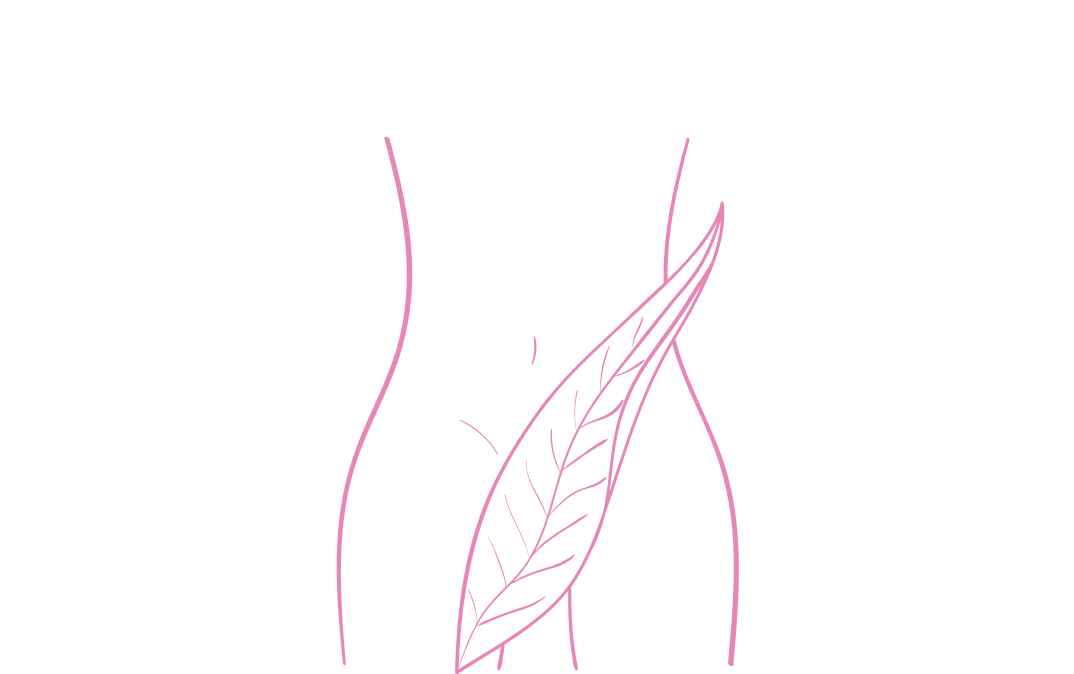 Brazilian Sugar