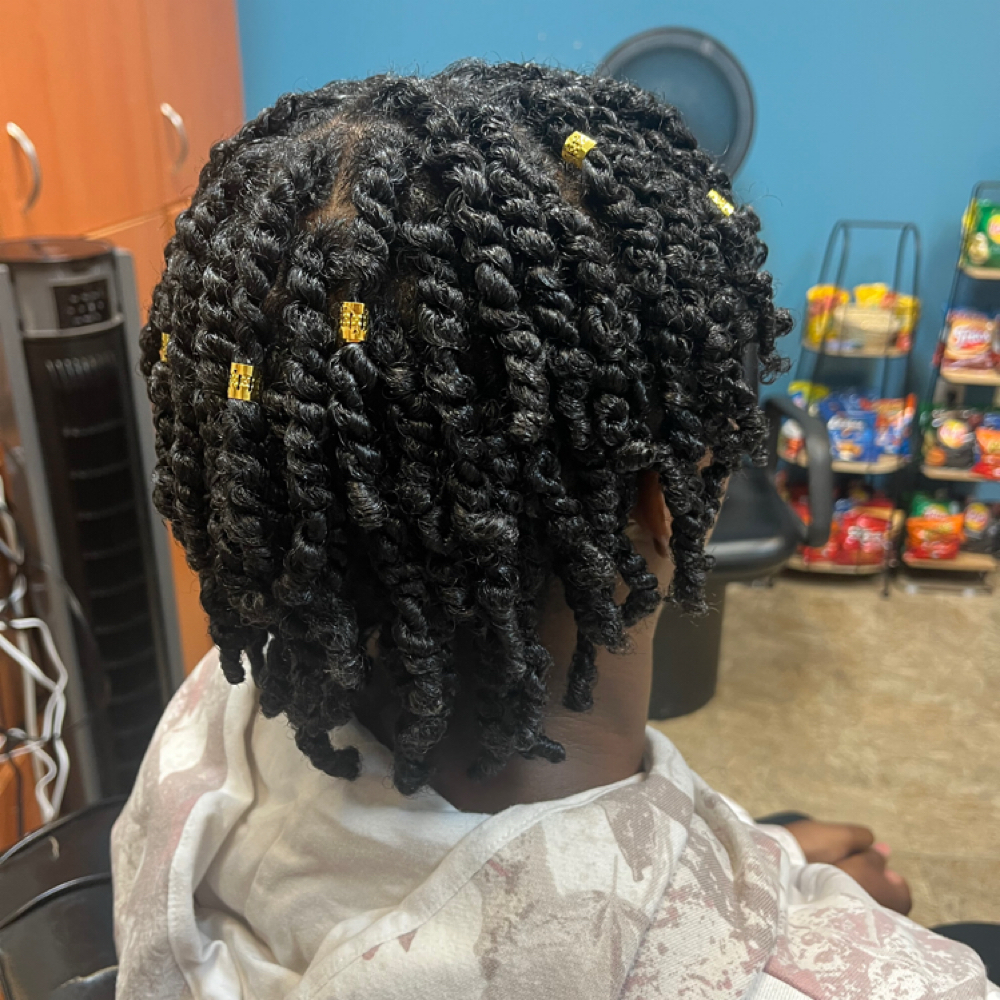 Natural Two-Strand Twists at Hair By ElahVee in Omaha, NE