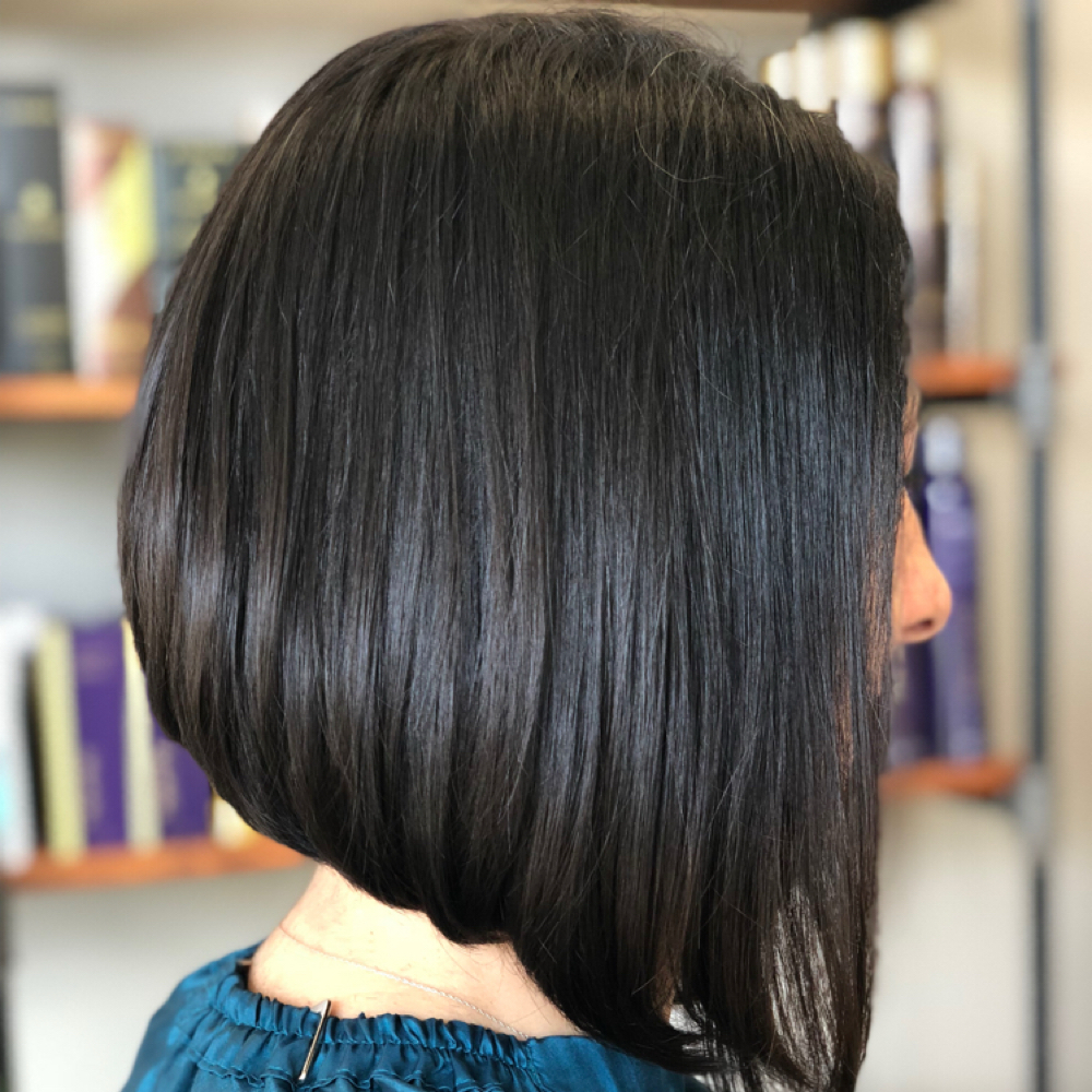 ALL OVER COLOR SHORT at Blown Away Hair Lounge in Spring Hill, FL