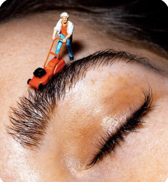 Eyebrow Wax And Trim