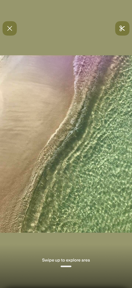 Formal Style at Tessa Little - Harlow in Johnson City, TN