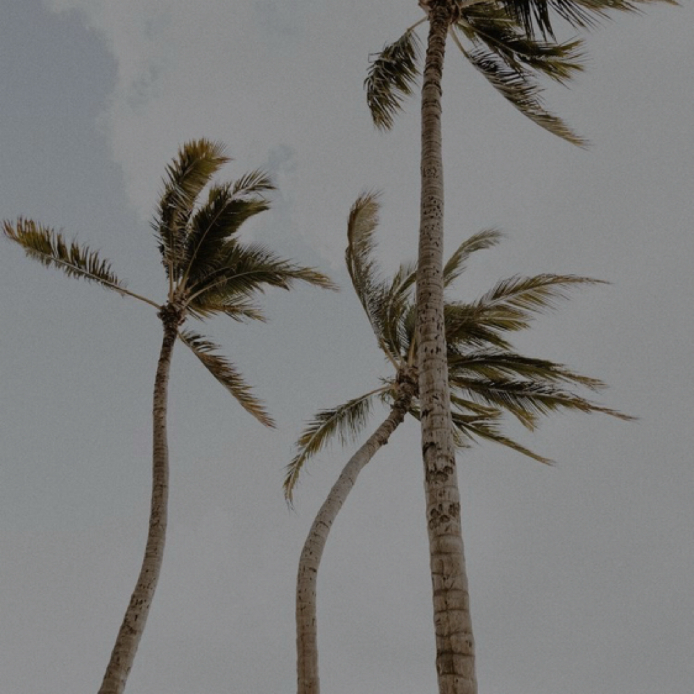 The Beachy at Brittany Reid in Woodstock, GA