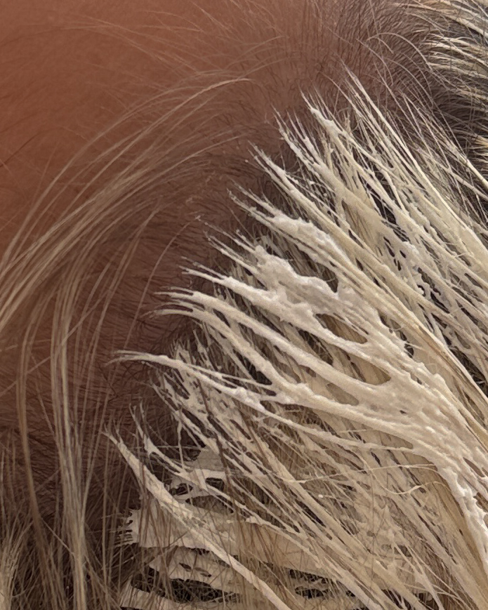 Partial Custom Blonding