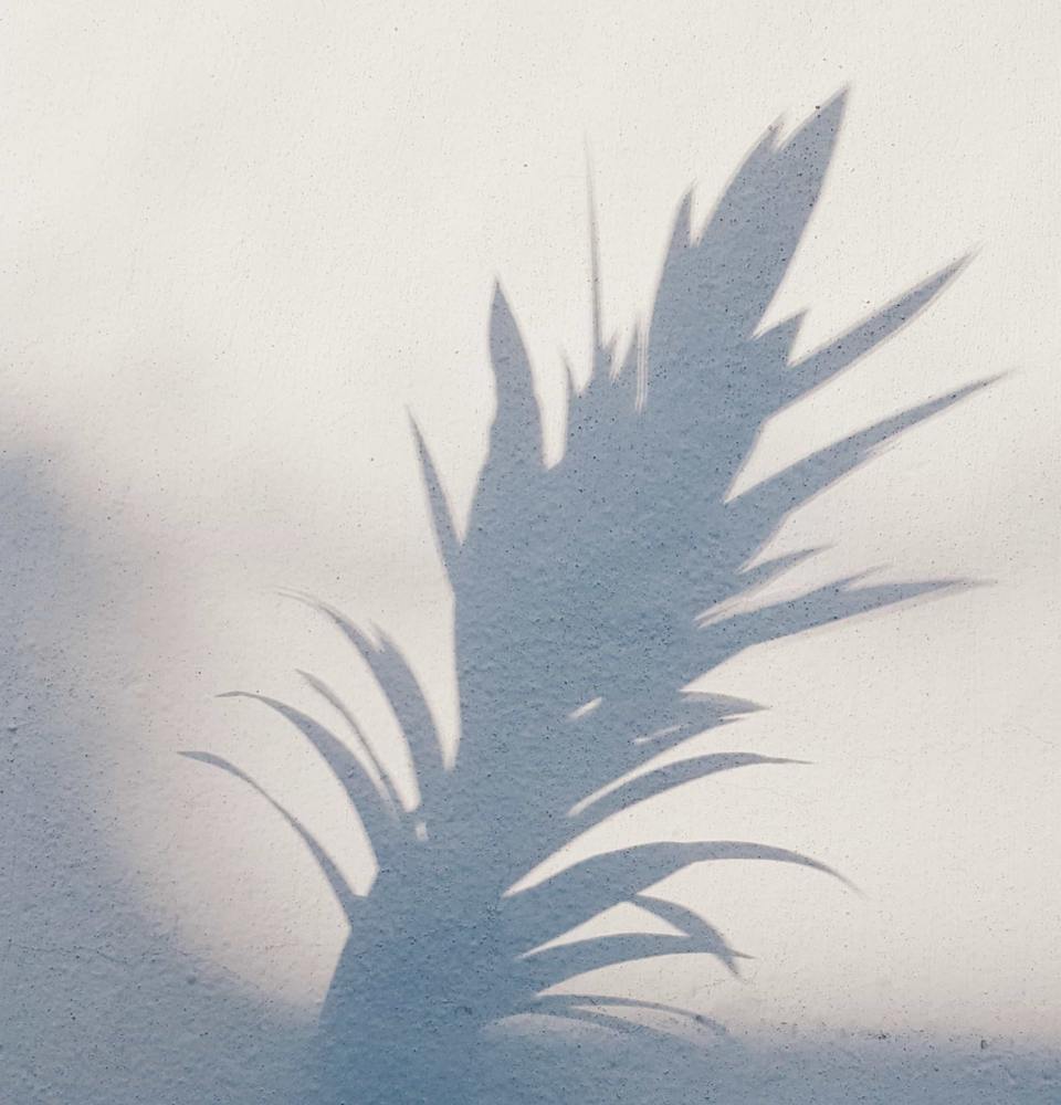 Custom Full Highlight