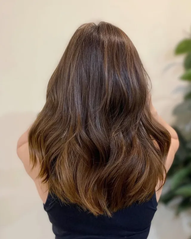 All Over Color AND Cut at Creations by KC in Lake Mary, FL