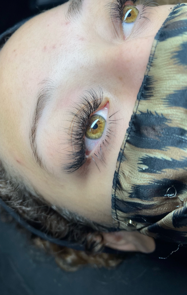 hybrid lashes