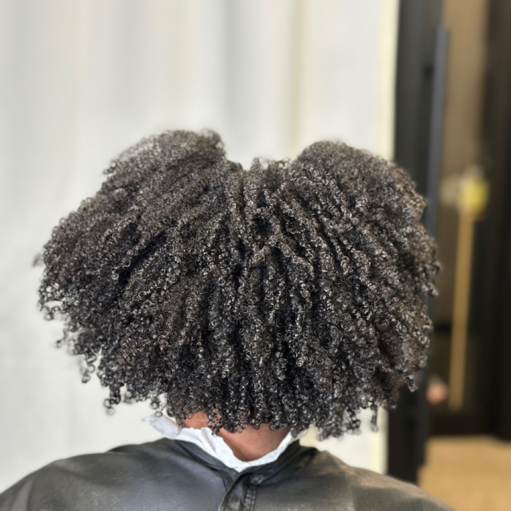 Wash And Go at Tress Affairs By Tamiera in Wauwatosa, WI