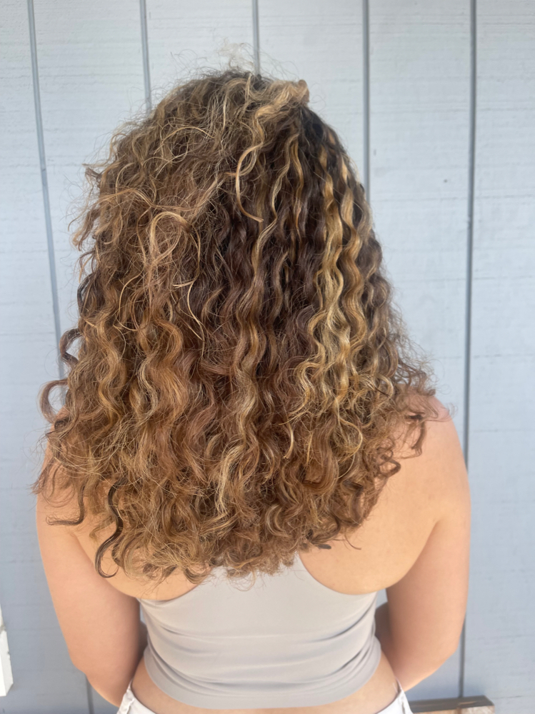 Highlights